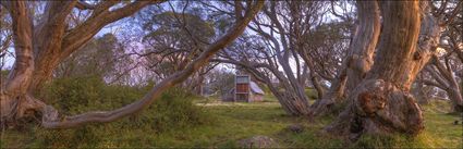 Wallace Hut - VIC H (PBH4 00 13108)